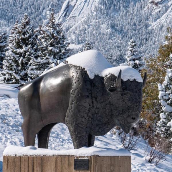 Sculpture of Ralphie in the snow