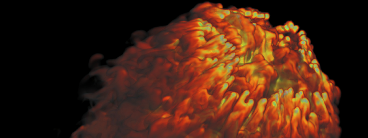 Supernova Blast Wave Simulation