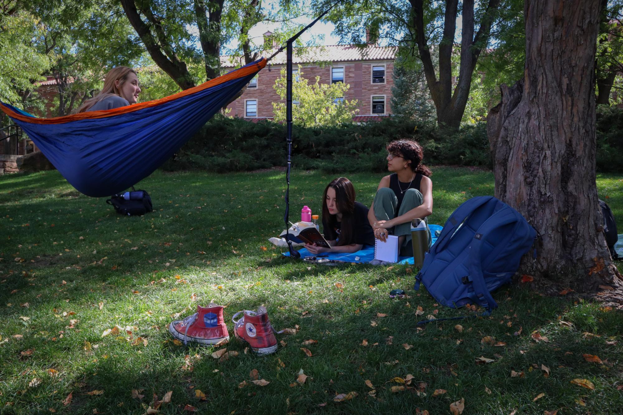 Students sitting on the grass and in a hammock on Farrand Field