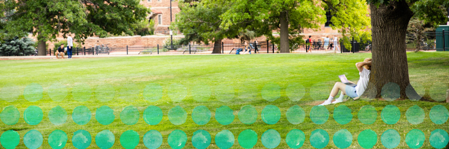 Photo of a student stretching under a tree on Farrand Field.