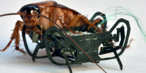 A cockroach next to a robot slightly smaller than it is