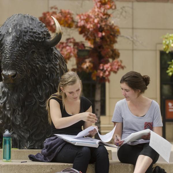 Students studying next to buffalo statue outside