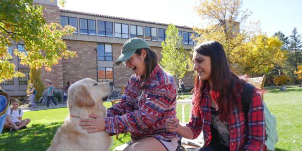 Students playing with a dog in the quad