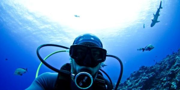 Mike Gil takes a selfie with a shark while scuba diving