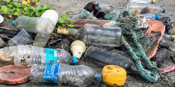 Plastic bottles and other trash on a beach