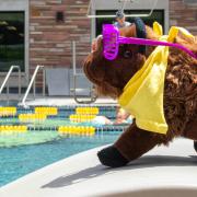 Ralphie at the pool