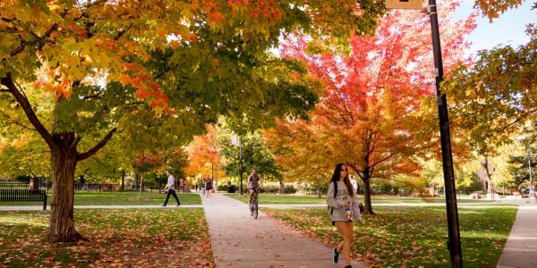 students walking on path during the fall